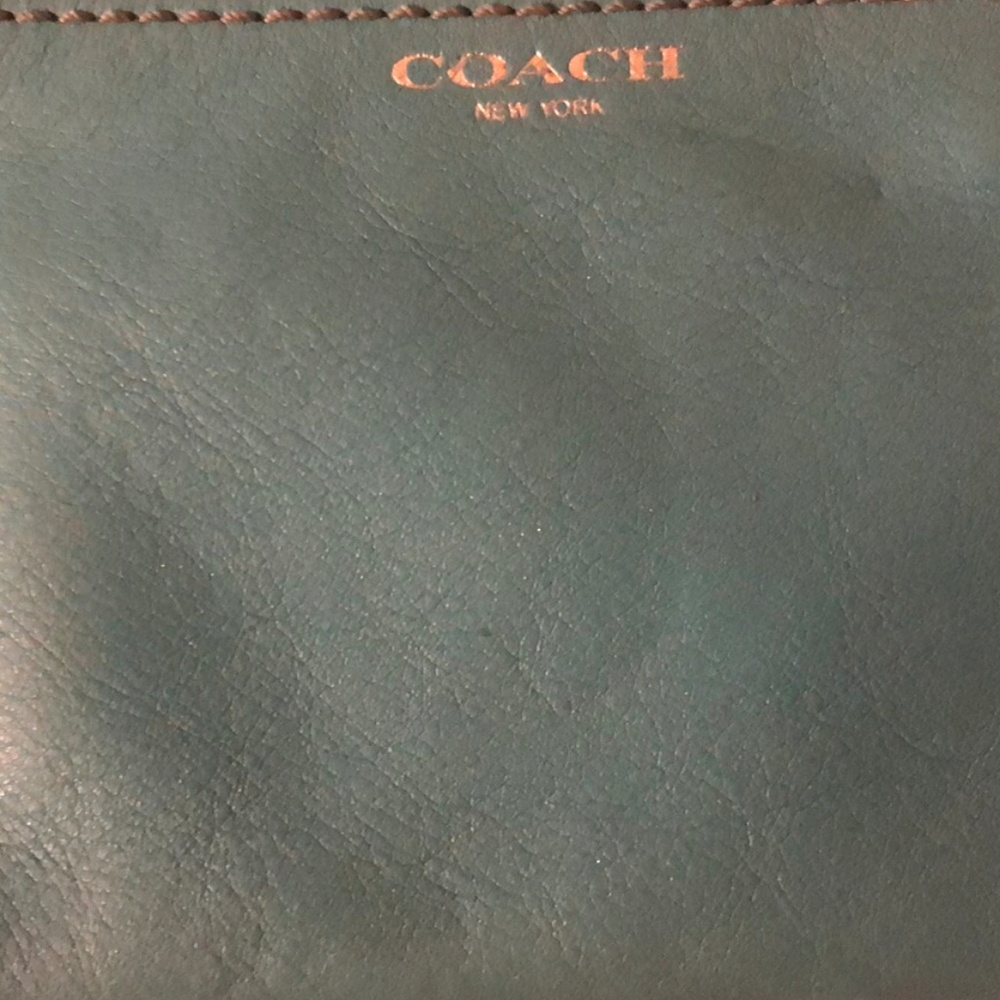 Springtime Coach wristlet